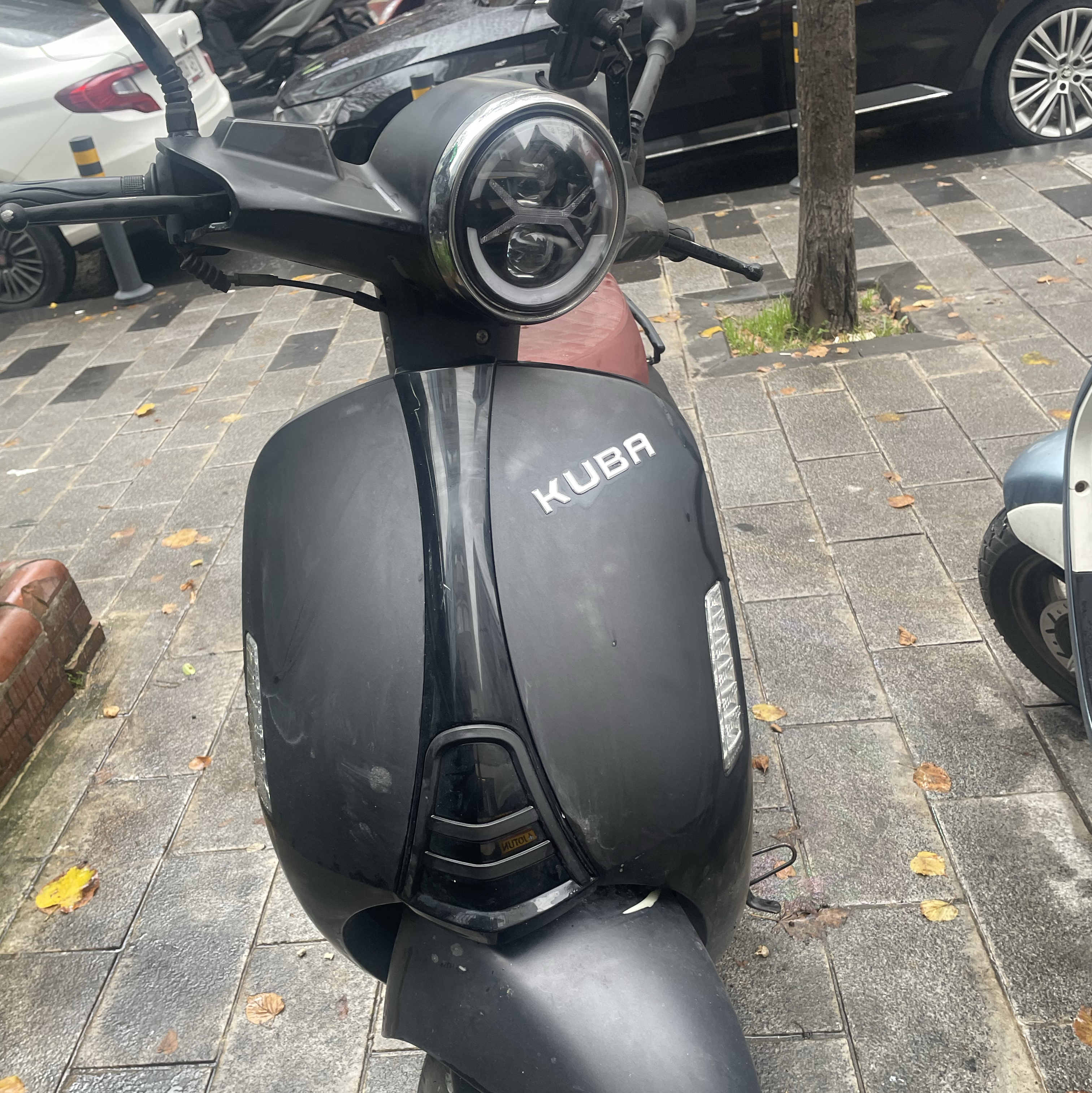 Sahibinden Kuba Blueberry Tertemiz 80cc