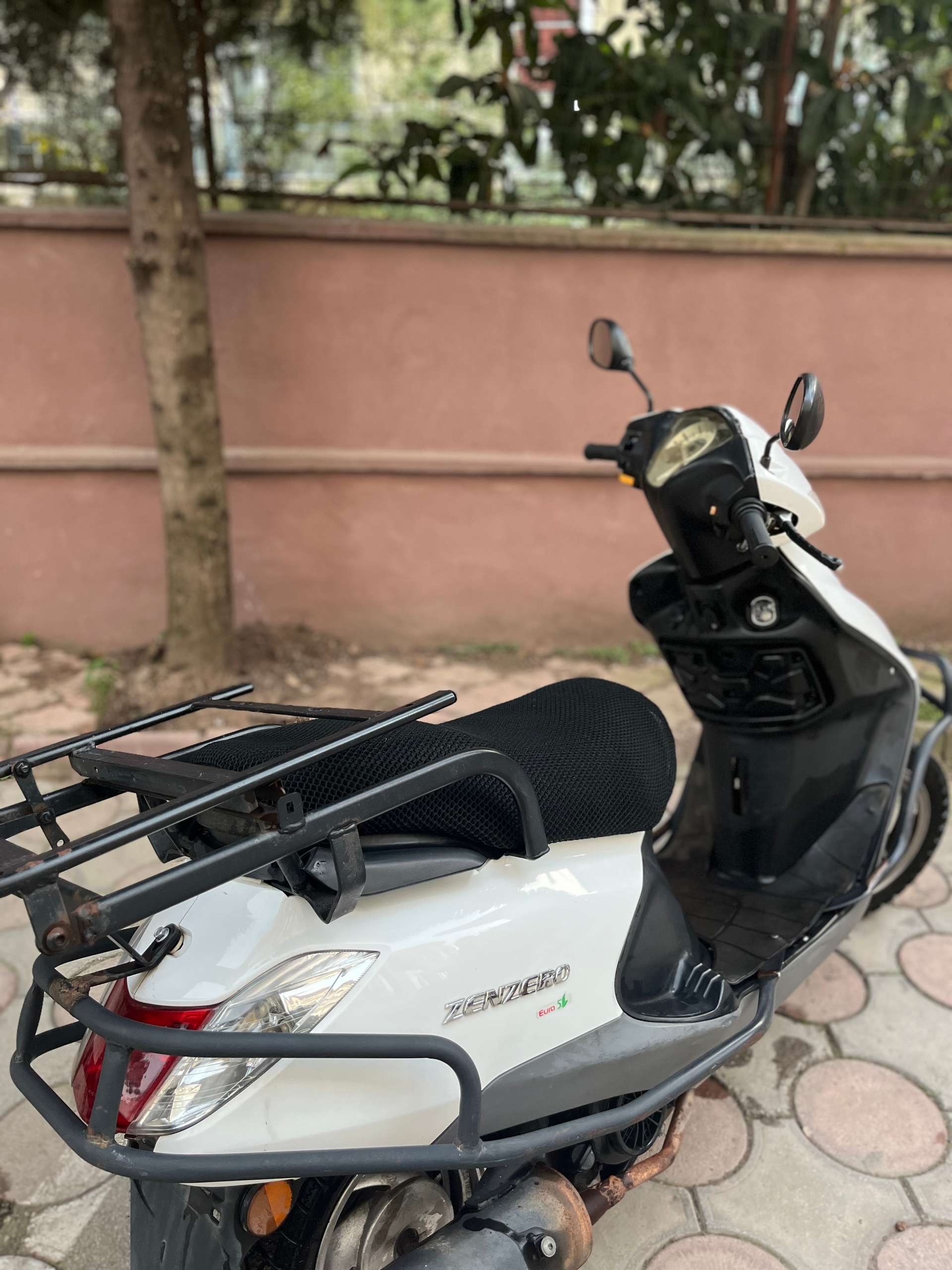 Çanta demirli zenzero